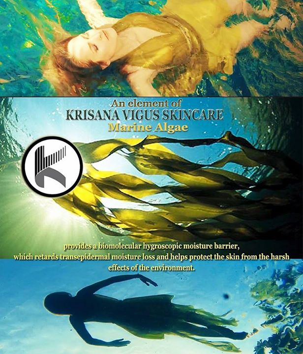Krisana Vigus  #DesignerSkincare  #MadeinUSA An element is Marine Algae provides...