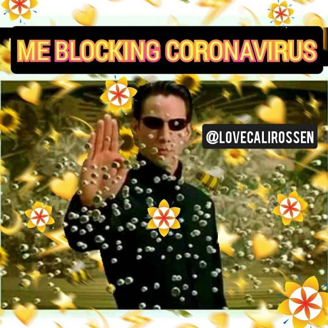 #blockingcoronavirus #coronavirus #blockcoronavirus 
#lovecalirossen 
#calirosse...
